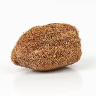 Ekakshi Nariyal - One Eyed Coconut - 1 Piece वुडेन यंत्र