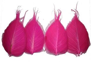 CRAFTWAFT SKELETON LEAVES MAGENTA PACK OF 50