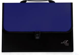 White Platinum Plastic Plastic File Folder with 13 Pockets, Handle, Index Tab, A4 Size