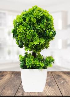 Litleo Great For Home Or Office Decoration or Gift Bonsai Wild Artificial Plant  with Pot