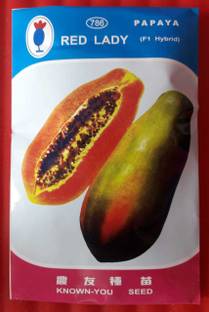 ??Green World Taiwan red lady seeds 786 papaya seeds Seed