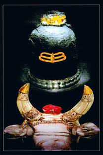 Poster N frame Ujjain's Shri Mahakaleshwar Temple shankar Paper Print