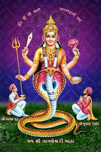 Poster N frame Nageshwari MATA UV Textured Decorative Art Print Premium Quality Wall Poster un framed (Rolled) Paper Print
