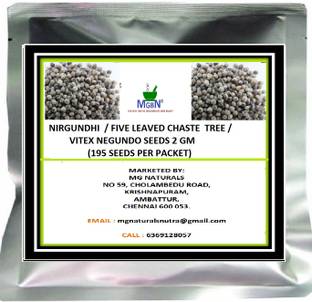 MGBN NIRGUNDHI / FIVE LEAVED CHASTE TREE /VITEX NEGUNDO SEEDS 2 GM Seed