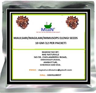 MGBN MAULSARI/MAGILAM/MIMUSOPS ELENGI SEEDS 10 GM Seed
