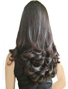 Alizz dark brown out curl multi step Hair Extension