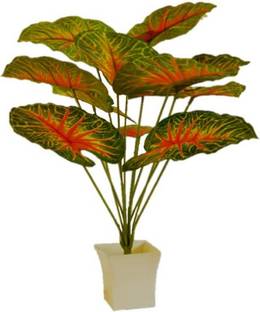 BK Mart Areca Palm Tree with 12 Long Leaves Artificial Plant  with Pot