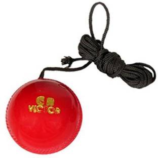 L'AVENIR Cricket Bat Knocking / Hanging Ball Cricket Training Ball