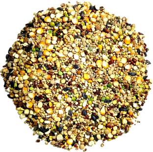 स्की Multi Seeds Natural Birds Foods for cockatiel, Parrots, Budgies,dove all Birds नट्स 1 kg ड्राई चिड़िया भोजन
