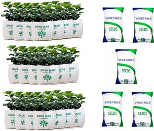 Grow Basket Grow Bag - UV Stabilized, Long Life Bags for Small and Medium Plants ( Pack of 20 Bags - Size: 30 x 16 x 16 cm) + ( 5 Vegetables seeds packets) Seed