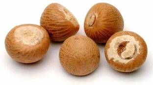 कोटलिया बेटल नट्स, सुपारी, कोटालिया, एरिका नट (250gm*2) बीज