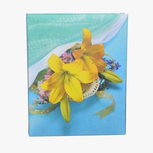 NATRAJ albums leo 120 pocket 4x6 new slide in pp pack Album (Photo Size Supported: 4x6 size) Album