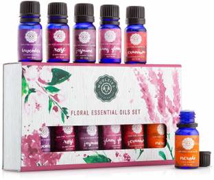 Woolzies Floral Essential Oil Set of 6 Rose