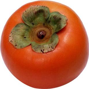 FUTABA Diospyros Kaki Fruit Seeds Seed