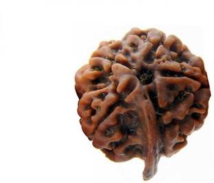 ज्वेलस्वोंदर 100 % Original & Natural Ganesha Face /Ganpati Mukhi Rudraksha With JGL Lab Certified लकड़ी चेन