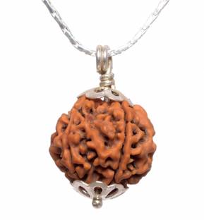 Parashara ARKAM Five Mukhi Rudraksha with Silver Pendant and Silver Chain / Original Nepali 5 Mukhi Rudraksha and detailed Puja and wearing instructions Wood Pendant