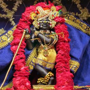 Model No- 1109 Radha Raman Wallpape (12x12 Size ) Photographic Paper