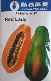 PEARL RED LADY PAPAYA 786 F1 HYBRID SEEDS TAIWAN Seed