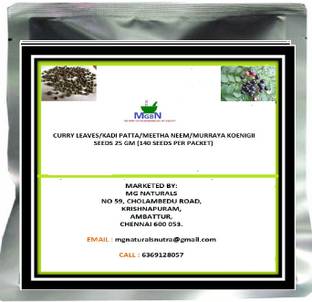 MGBN CURRY LEAVES/KADI PATTA/MEETHA NEEM/MURRAYA KOENIGII SEEDS Seed
