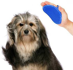 Sage Square 2 in 1 Adjustable Dog Brush/Pet Comb for Grooming Cum Massager & Safety for Pets from Mites/Lice/Ticks for Dog/Puppy/Kitten/Cat (Blue) Curry Comb for  Dog & Cat
