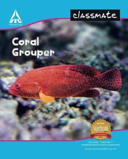 Classmate Notebook Regular Notebook Unruled 172 Pages