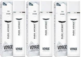 पार्क एवेन्यू COLLECTION VOYAGE WOODS INTENSE PREMIUM PERFUME Perfume  -  360 ml