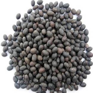 ग्रीनलैंड कमल पौधा