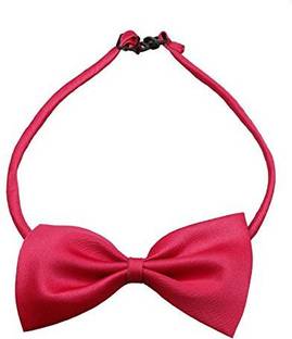 Sage Square Adjustable Neck Bow Cum Necktie for Dog/Puppy/Cat/Kitten Dog Show Collar