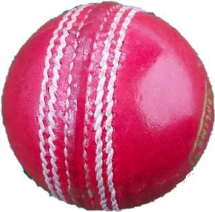GRAVITY TOURNAMENT Cricket Leather Ball