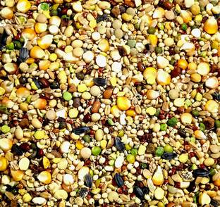 Sky Multi Seeds Nuts Nuts, Vegetable 1 kg Dry Young, Adult Bird Food