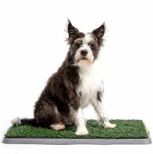 Maxigo Dog Grass Pee Pad Potty Artificial Grass Patch for Dogs Pet Litter Box Training Pads Best for Puppy Indoor Turf Fresh Fake Porch Lawn Toilet Mat Bathroom Tray Doggie Trainer Balcony Patio Mats Potty Toilet Trainer Mat Dog Pet Mat