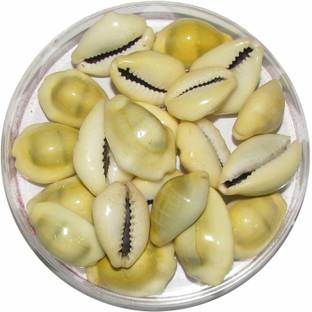 Shriram Traders Shriram Traders Natural Yellow Kaudi Shells/Kauri/Cowrie (Set of 51 Pieces) Marble Yantra