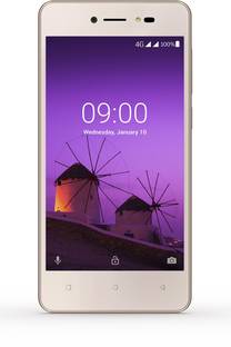 LAVA Z50 (Gold, 8 GB)