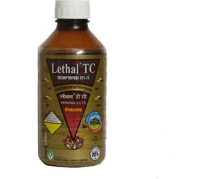 Lethal TC Chlorpyriphose 20%
