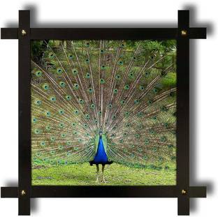 Poster N Frames Cross Wooden Frame Hand-Crafted with photo of Peacock Digital Reprint 16.5 inch x 16.5 inch Painting
