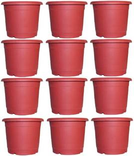 Synergy Plast Heavy Duty Flower Plastic Pot, 8 Inch, Plastic Gamla , Plant Container Set