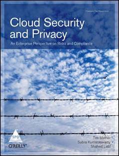 Cloud Security and Privacy:an Enterprise Perspective on Risks and Comp