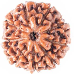 vastu nakshatra 9 mukhi Rudraksha पीतल पेंडेंट