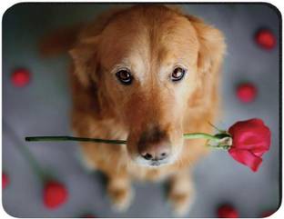 Flipkart SmartBuy MP46 Non Slip Base Mousepad