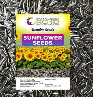 RENUKA SEEDS Sunflower Seeds for Bird 500 Gram, White Striped Sunflower for All Birds 0.5 kg Dry Adult, Young Bird Food