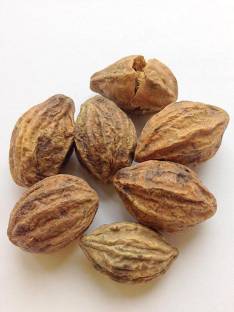 Green World HARAD / HARITIKI / TERMINAIA CHEBULA / CHEBULIC MYROBALAN AYURVEDA TREE SEEDS ( 50 GMS SEEDS ) Seed