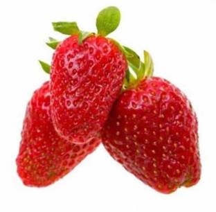FRESHO Strawberry Seeds(100 Seeds) Seed