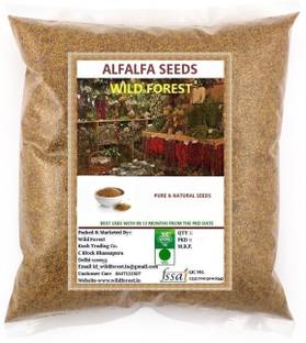 WILD FOREST Alfalfa Seeds Seed