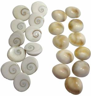 NEERAJ Gomti Chakra stone For Pooja - Gaumti - gomti - gomati Chakra Shell -21 pc