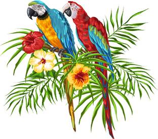 god & god's 42 cm Parrot Love Pirate 299 Self Adhesive Sticker