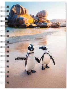 Family store spiral Pad Regular Notebook single Rule 300 Pages