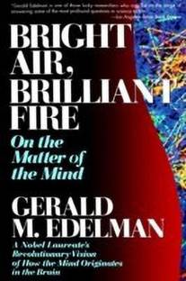 Bright Air, Brilliant Fire