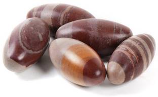 numeroastro Natural & Original Narmada | Narmadeshwar Shivling for Success (Small) Pack of 5 Decorative Showpiece  -  2 cm