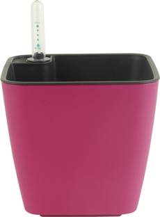 Divine Tree Pink Flower Plant Container Set