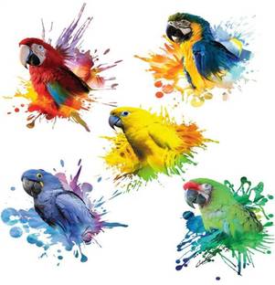 voorkoms 5 Parrot multi color birds tattoo